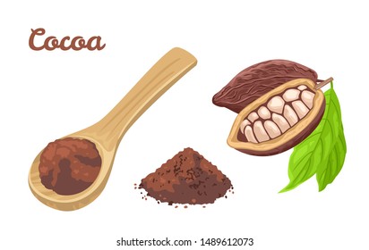 Cocoa powder in wooden spoon. Cacao beans with green leaves, heap of chocolate powder isolated on white background. Vector food illustration in cartoon simple flat style.