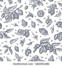 Cocoa Seamless Pattern. Vector Nature Sketch On White Background. Hand Drawn Tree, Bean, Flower In Bloom, Leaves, Grain. Art Vintage Provence Illustration, Organic Print