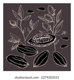 Cocoa set. Hand drawn sketch vector Cocoa beans, leaves sketch and Cocoa tree. Organic product. Doodle sketch for café, shop, menu. Plant parts. For label, logo, emblem, symbol.Vector