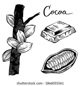 Cocoa set, hand drawn vector