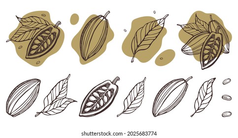 Cocoa Set. Hand-drawn Vector Cacao Beans, Leaves. Doodle Outline Sketches Vector Illustration For Design Menu, Shop, Fabric, Wallpaper. Plant Parts. For Logo, Print, Label, Emblem, Symbol