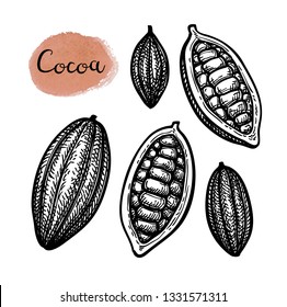 Cocoa set. Ink sketch isolated on white background. Hand drawn vector illustration. Retro style.