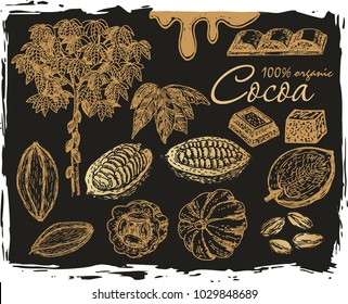 Cocoa set on a black background. Chocolate, cocoa beans, cocoa tree, fruit.