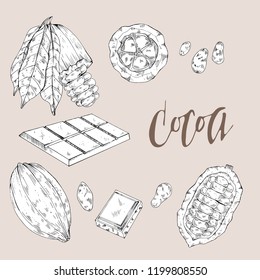 Cocoa set, vector handdrawn 