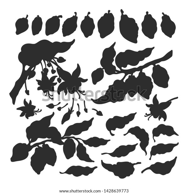 Cocoa Silhouette Set Vector Nature Shape Stock Vector (Royalty Free