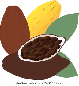 Cocoa is a small evergreen tree in the hibiscus family, native to tropical Central and South America. The beans are often used in desserts.
