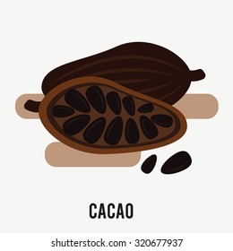 Cocoa Super foods Icon