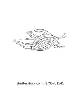 Cocoa symbol vector illustration design
