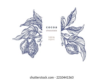 Cocoa texture hand drawn print. Organic chocolate, aroma drink, natural butter. Vector decor of fruit, leaves. Hand drawn rustic illustration on white background