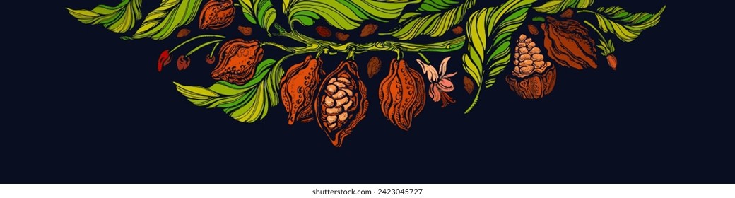 Cocoa tree banner. Aroma beans, green leaves, choco fruits. Organic black chocolate. Vintage illustration for food design