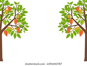 Cocoa Tree with Cocoa fruits. Vector Illustration Isolated on White Background. 