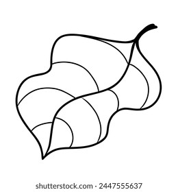 Cocoa tree leaf, black line on white background