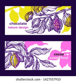Cocoa. Tropical flyer, plantation. Vector nature background. Color jungle. Art line sketch, bio design. Natural chocolate food, aroma drink. Floral card. Fresh harvest. Vintage paradise template