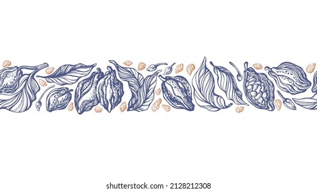 Cocoa vector border. Drawing seamless background. Bio chocolate, aroma organic food. Art texture fruit, beans, leaves