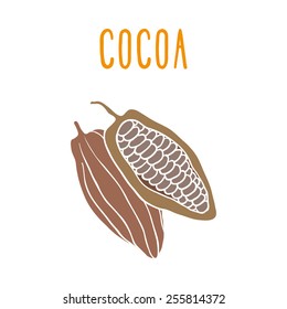 Cocoa. Vector EPS 10 hand drawn illustration. 