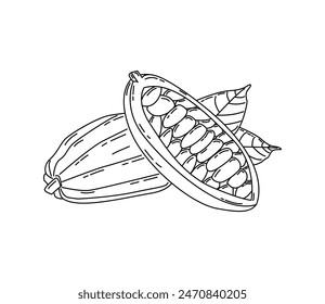 Ilustración vectorial de cacao con hoja, cacao monoline, páginas de dibujo de cacao aislado sobre fondo blanco