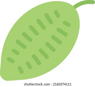 cacao   Ilustración vectorial en un fondo transparente. Símbolos de calidad superior. Iconos vectoriales de color de línea para el concepto y el diseño gráfico.