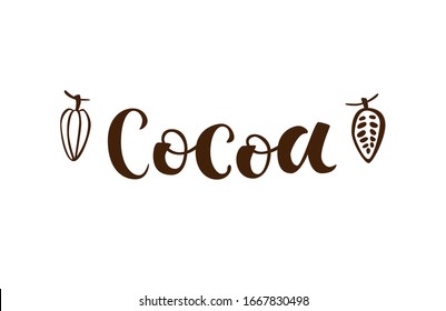Cocoa vector text, hand drawn lettering