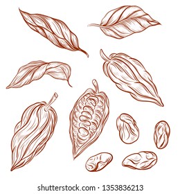 Cocoa vintage set. vector illustration, design element