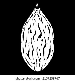 Cocoa in vintage style on white background. Fresh healthy food. Vector background. Organic food. Dark background.
