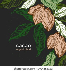 Cocoa vintage template. Vector nature background. Art hand drawn botanical tree, bean, fruit, leaf Organic tropical food, graphic sketch, retro card Cacao border, sweet drink, natural chocolate