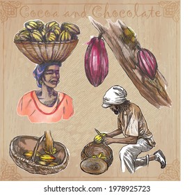 COCOA,cacao and chocolate. Agriculture. Life of a farmer. Cocoa harvesting and processing. Collection of an hand drawing illustrations. Pack of vector illustrations, line art. Set of freehand sketches