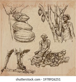 COCOA,cacao and chocolate. Agriculture. Life of a farmer. Cocoa harvesting and processing. Collection of an hand drawing illustrations. Pack of vector illustrations, line art. Set of freehand sketches