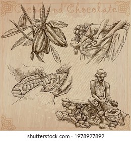 COCOA,cacao and chocolate. Agriculture. Life of a farmer. Cocoa harvesting and processing. Collection of an hand drawing illustrations. Pack of vector illustrations, line art. Set of freehand sketches