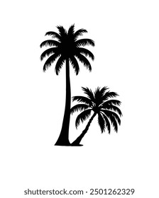 Coconat tree vactore palm trees silhouette. Transparent background.