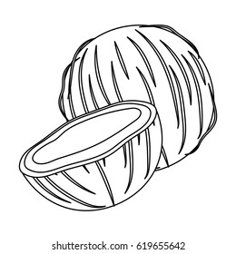 Coconat.Different kinds of nuts single icon in outline style vector symbol stock illustration.