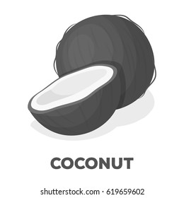 Coconat.Different kinds of nuts single icon in monochrome style vector symbol stock illustration.