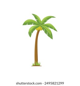 Coconnut Tree, Palm Vector Background