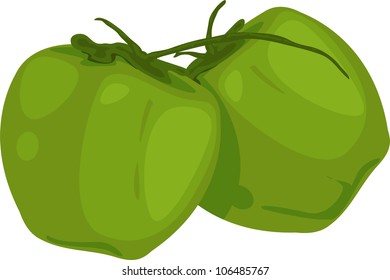coconut