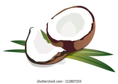 coconut