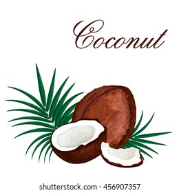 Coconut