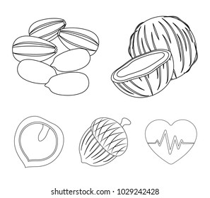 Coconut, acorn, sunflower seeds, manchueian walnut.Different kinds of nuts set collection icons in outline style vector symbol stock illustration web.