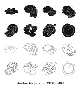 Coconut, acorn, sunflower seeds, manchueian walnut.Different kinds of nuts set collection icons in black,outline style vector symbol stock illustration web.