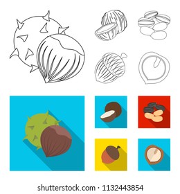 Coconut, acorn, sunflower seeds, manchueian walnut.Different kinds of nuts set collection icons in outline,flat style vector symbol stock illustration web.