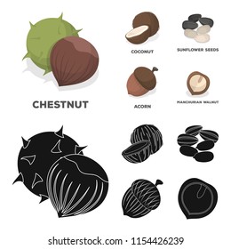 Coconut, acorn, sunflower seeds, manchueian walnut.Different kinds of nuts set collection icons in cartoon,black style vector symbol stock illustration web.
