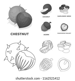 Coconut, acorn, sunflower seeds, manchueian walnut.Different kinds of nuts set collection icons in outline,monochrome style vector symbol stock illustration web.