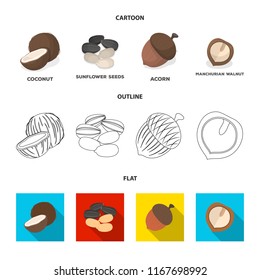 Coconut, acorn, sunflower seeds, manchueian walnut.Different kinds of nuts set collection icons in cartoon,outline,flat style vector symbol stock illustration web.