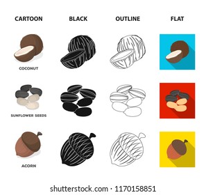 Coconut, acorn, sunflower seeds, manchueian walnut.Different kinds of nuts set collection icons in cartoon,black,outline,flat style vector symbol stock illustration web.