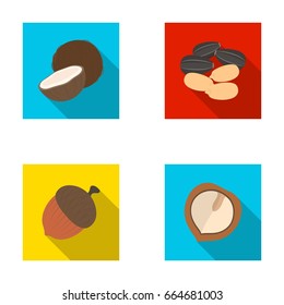 Coconut, acorn, sunflower seeds, manchueian walnut.Different kinds of nuts set collection icons in flat style vector symbol stock illustration web.