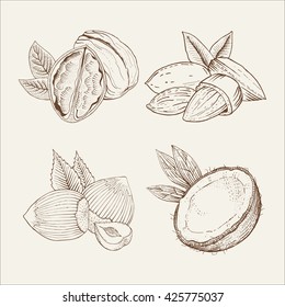 Coconut, Almond, Walnut. Vector Set Of Nuts Isolated On White Background. Hand-drawn A Sketch In Woodcut Style. Contour Drawing With Hatching. Organic Food Illustration.