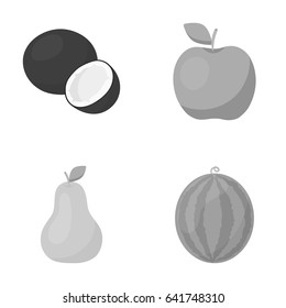 Coconut, apple, pear, watermelon.Fruits set collection icons in monochrome style vector symbol stock illustration web.
