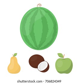 Coconut, apple, pear, watermelon.Fruits set collection icons in cartoon style vector symbol stock illustration web.