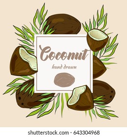 Coconut background with the leaves in a hand drawn style. Package design.