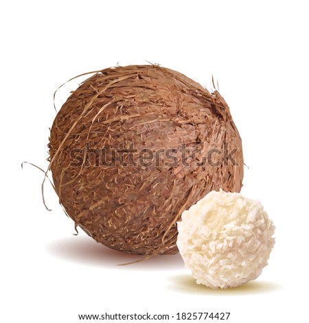 Coconut balls low poly. Coconut healthy sugarfree bliss balls in coconut shells. Tasty cake. Vector illustration. Coconut balls with cream in triangulation technique.