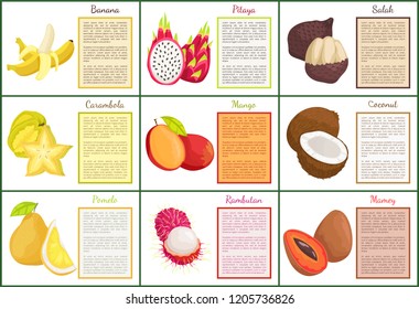 Coconut and banana posters set with text sample and tropical fruits vector. Carambola and mamey, rambutan and pomelo exotic meal. Mango and salak