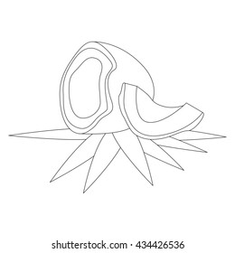 Coconut to be colored. Coloring book to educate kids. Learn colors. Visual educational game. Easy kid gaming and primary education. Simple level of difficulty. Coloring pages.